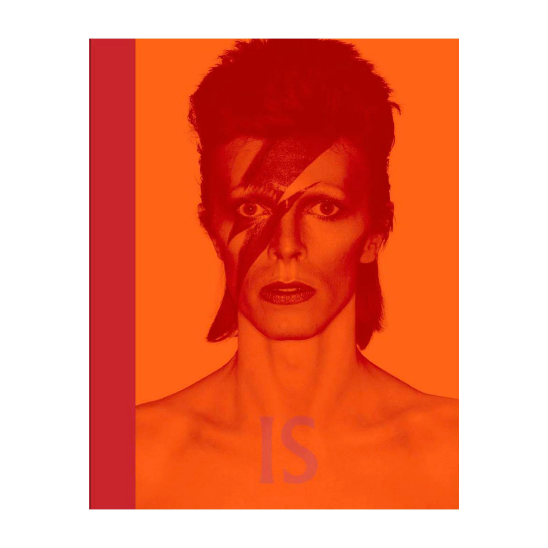 David Bowie Is Inside – Diverse Gifts